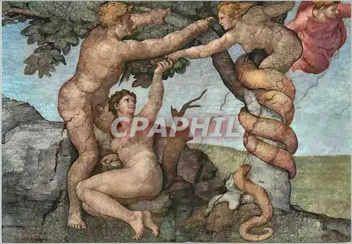 Cartes postales moderne Citta Del Vaticano Chapelle Sixtine Le peche original (Michelangelo)