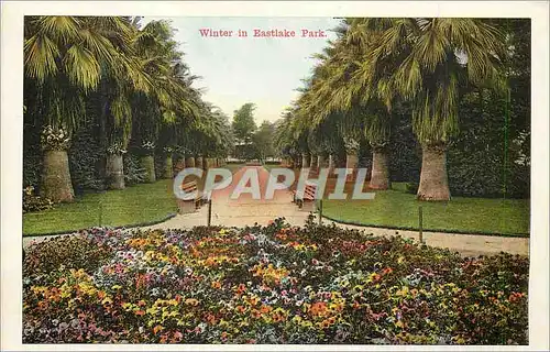 Cartes postales moderne Winter in Eastlake Park
