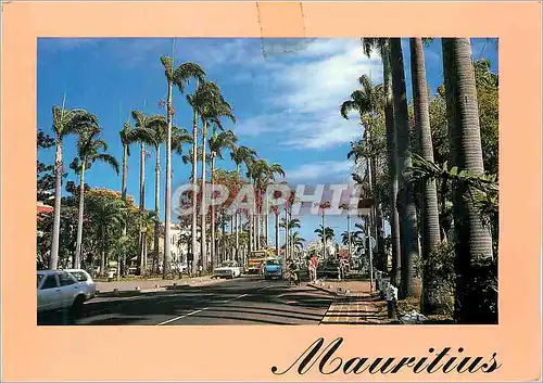 Cartes postales moderne Mauritius Ile Maurice Port Louis