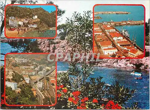 Cartes postales moderne Souvenir de Skikda