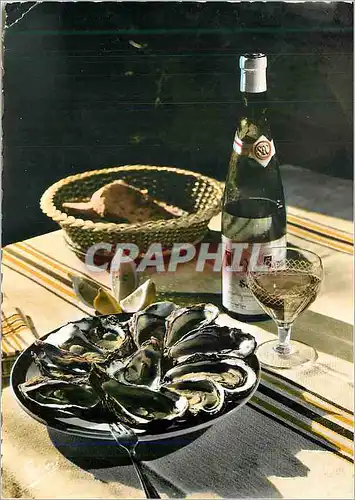 Cartes postales moderne Les Marennes Les Fruits de Mer