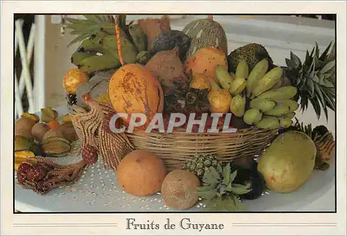 Cartes postales moderne Fruits de Guyane Bananes cocos ananas et caramboles