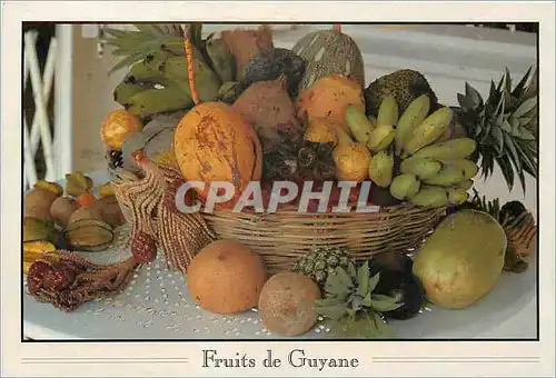 Moderne Karte Fruits de Guyane Bananes cocos ananas et caramboles