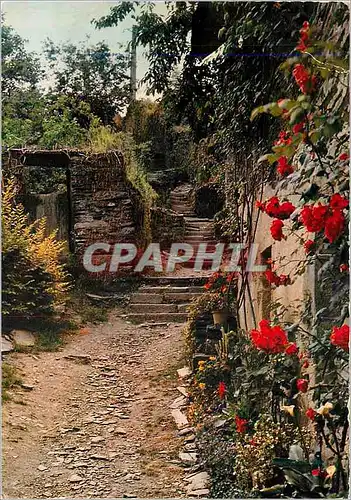 Cartes postales moderne Rochefort en Terre (Morbihan) Maisons fleuries dans les vieux quartiers
