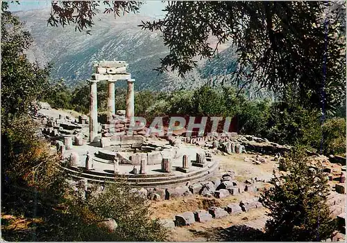 Cartes postales moderne Delphes La Tholos de Marmaria