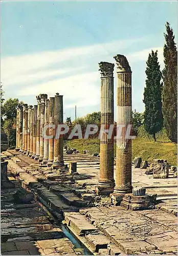 Cartes postales moderne Aquileia (UD) Forum Romain