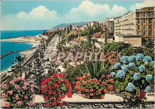 Cartes postales moderne Riviera dei Fiori S Remo Avenue Imperatrice