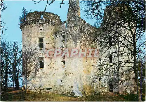 Cartes postales moderne Au Pays de Jacquou le Croquant Le Chateau de l'Herm (M H C)