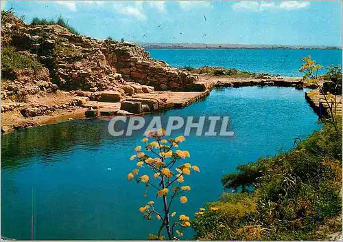Cartes postales moderne Sicilia Pittoresca Marsala Ile de Mozio Port Phenichien