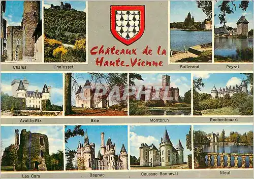 Cartes postales moderne Chateaux de la Haute Vienne Chalus Chalusset Ballerad Peyrat Azat le Riz Brie Montbrun Nieul