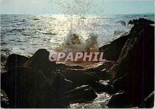 Cartes postales moderne Contre Jour sur la mer