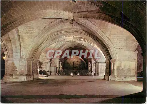 Cartes postales moderne Saint Gilles du Gard Eglise Abbatiale XIIe s La crypte renfermant le tombeau de St Gilles