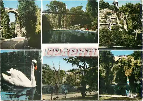 Cartes postales moderne Les Buttes Chaumont Paris Cygne