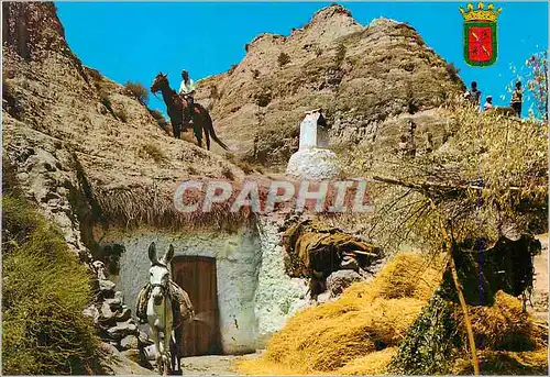 Cartes postales moderne Purullena Cavernes Ane Donkey