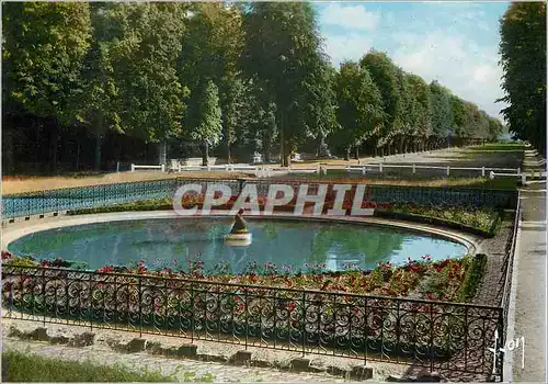 Cartes postales moderne Maison Laffitte (Seine et Oise) Avenue Albime