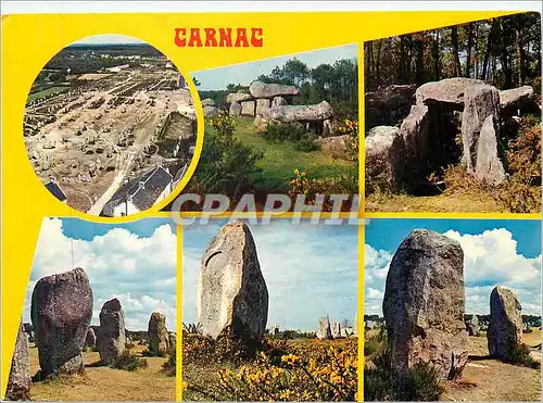 Cartes postales moderne Carnac Les alignements de menhirs Couleurs de Bretagne
