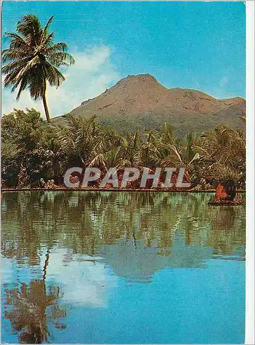 Cartes postales moderne Martinique Le Montagne Pelee vue du Parnasse