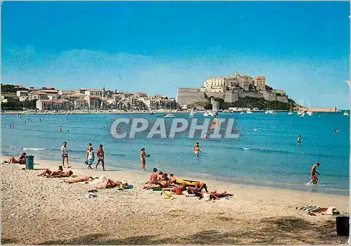 Cartes postales moderne Charmes et Couleurs de la Corse Calvi La plage et la Citadelle