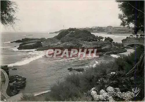 Moderne Karte Biarritz (Basses Pyr) Au travers des Tamaris vue sur le Basta et la Grande Plage