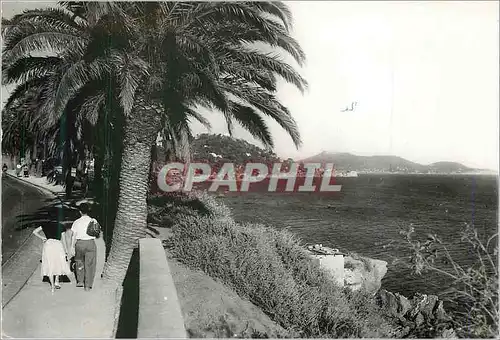 Cartes postales moderne Toulon sur Mer Corniche du Mourillon La Cote d'Azur