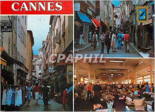 Cartes postales moderne Cannes Rue Meynedier et Marche Forville