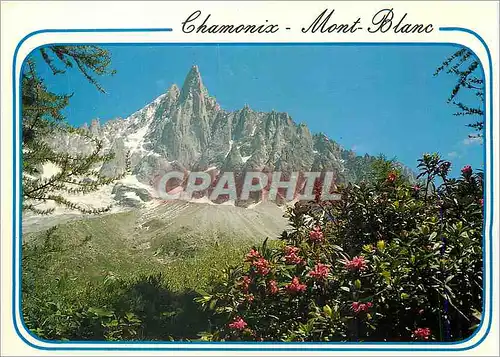Moderne Karte Chamonix Mont Blanc (Hte Savoie) Le Dru et les Flammes de Pierre