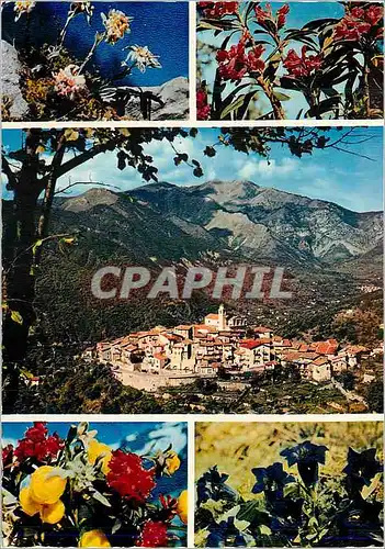Cartes postales moderne La Bollene Vesubie Vue sur le Village et le Massif du Tournairet