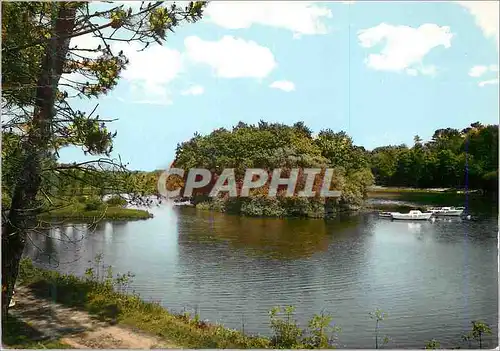 Cartes postales moderne St Vincent sur Oust L'Ile aux pies (Morbihan)
