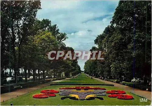 Cartes postales moderne Rochelle (Chte Mme) L'allee du Mail