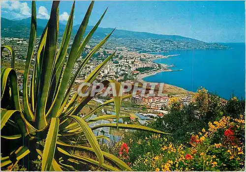 Cartes postales moderne Panorama des collines occidentales Sanremo