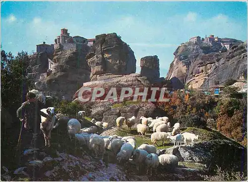 Cartes postales moderne Meteores Couvents de Variaam et de la Transfiguration Berger Moutons