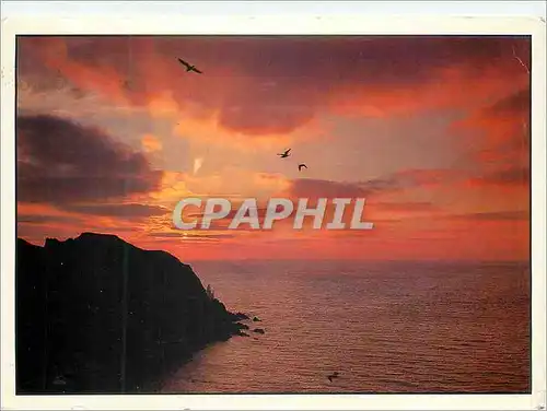 Cartes postales moderne Devon At the end of the Day Hartland Point
