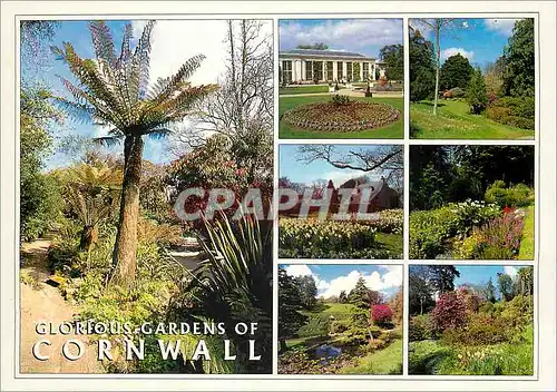 Cartes postales moderne The Landscape of Cornwall Glorious Gardens