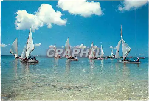 Cartes postales moderne Images des Antilles Regate de Bateaux de Peche Bateaux