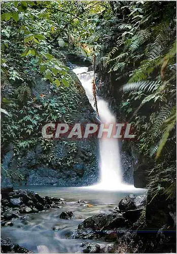 Cartes postales moderne Antilles West Indies Une Cascade dans le Foret Tropicale