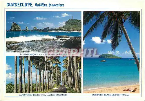 Moderne Karte Guadeloupe Antilles Francaises Saint Francois La Pointe des Chateaux Capesterre Belle Eau L'Alle