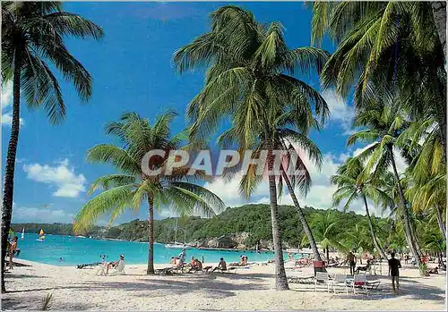 Moderne Karte Guadeloupe Sainte Anne Plage de la Caravelle