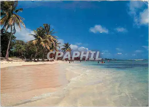 Cartes postales moderne Guadeloupe Saint Francois La Plage des Raisins Clairs