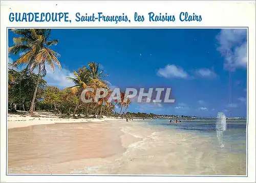 Cartes postales moderne Guadeloupe Saint Francois Les Raisins Clairs