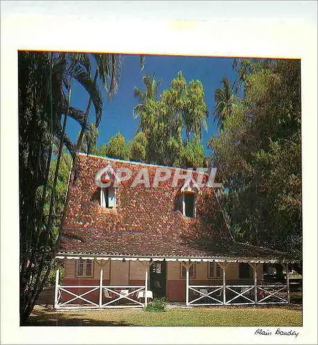Cartes postales moderne Antilles Francaises