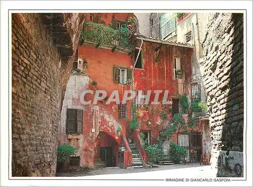 Moderne Karte Roma Un Coin Pittoresque pres le Campo de Fiori