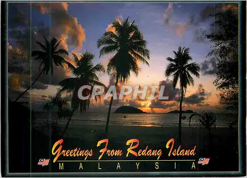 Cartes postales moderne Greetings from Redang Island Malaysia