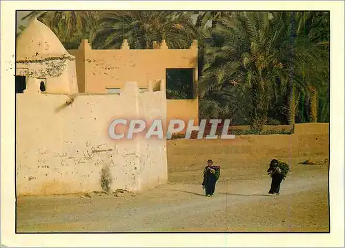 Cartes postales moderne Femmes du Sud