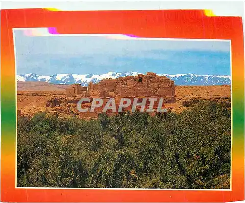 Cartes postales moderne Souvenir d'Ouarzazate Maroc