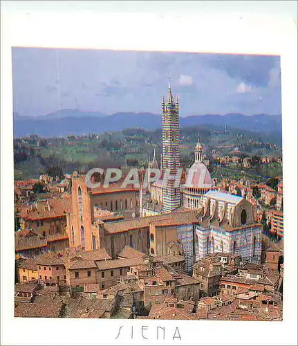 Cartes postales moderne Siena Il Duomo
