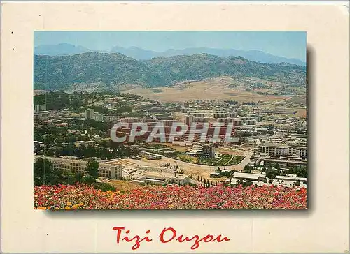 Cartes postales moderne Tizi Ouzou (Algerie) Vue Generale