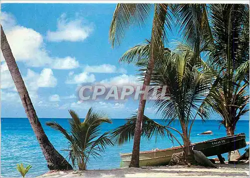 Moderne Karte Martinique FWI Anse d'Arlet Reve Caraibe