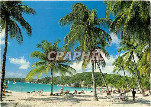 Cartes postales moderne Images des Antilles A l'Ombre des Cocotiers sous le Ciel Caraibe