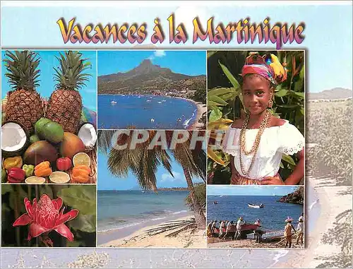 Moderne Karte Vacances a la Martinique