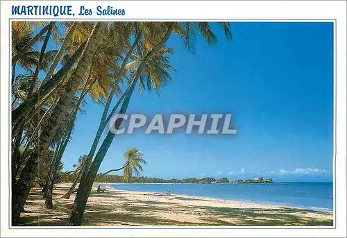 Moderne Karte Martinique Sainte Anne Plage des Salines